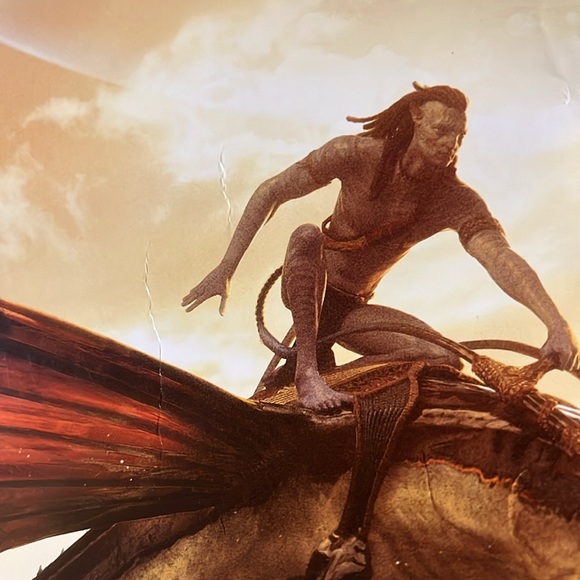 Avatar Movie Poster (READ) 27x40 Way of the Water Theatrical Origin Double Sided - Picture 4 of 15